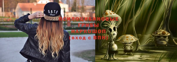 ешки Богородск