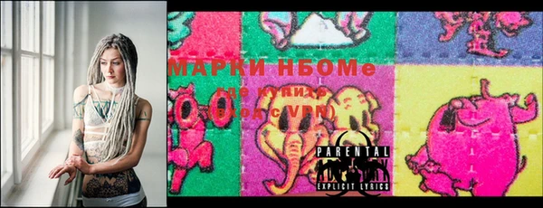 соль ск Бикин
