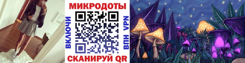 Галлюциногенные грибы Magic Shrooms  купить наркоту  Буинск 